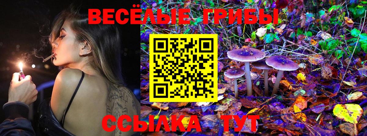 Кувандык  Галлюциногенные грибы Psilocybe  Галлюциногенные грибы GOLDEN TEACHER  Вход с VPN 